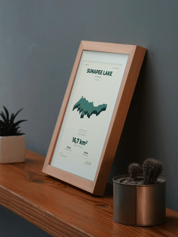 The Sunapee Lake artwork digitally placed in a frame on a shelf beside plants. Framing and proportions are illustrative.