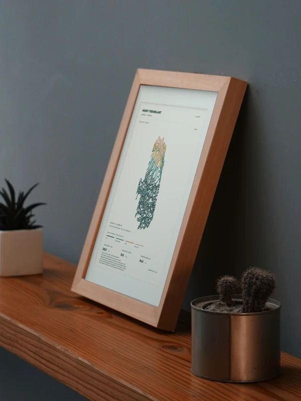 The Mont-Tremblant artwork digitally placed in a frame on a shelf beside plants. Framing and proportions are illustrative.