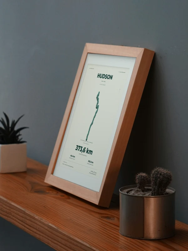 The HUDSON artwork digitally placed in a frame on a shelf beside plants. Framing and proportions are illustrative.