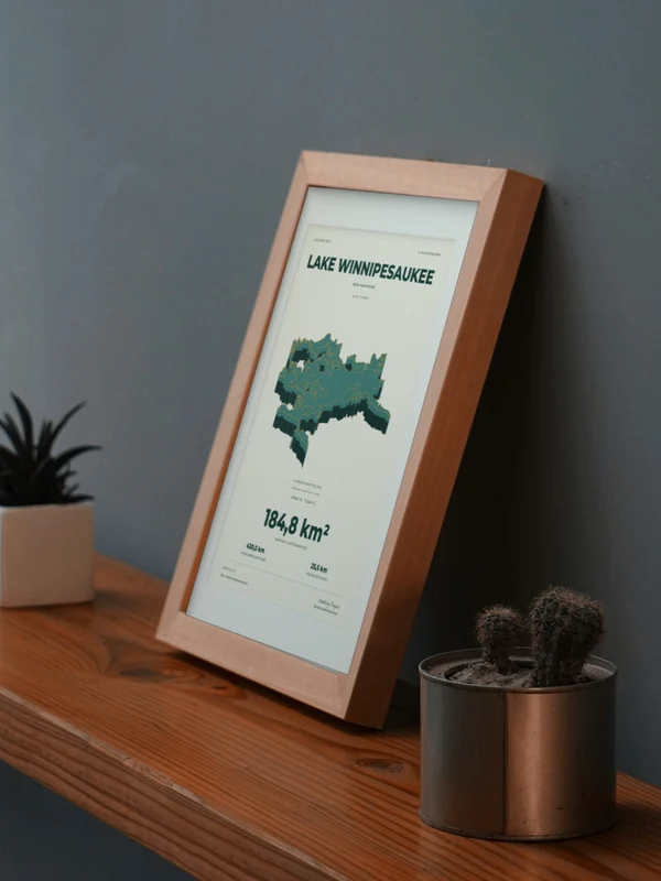 The Lake Winnipesaukee artwork digitally placed in a frame on a shelf beside plants. Framing and proportions are illustrative.