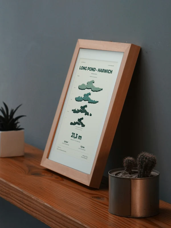 The Long Pond · Harwich artwork digitally placed in a frame on a shelf beside plants. Framing and proportions are illustrative.