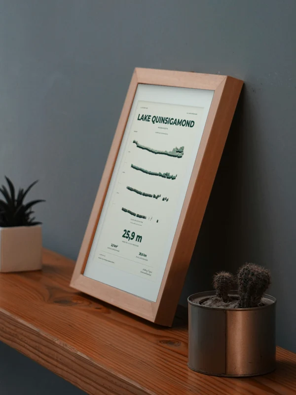 The Lake Quinsigamond artwork digitally placed in a frame on a shelf beside plants. Framing and proportions are illustrative.