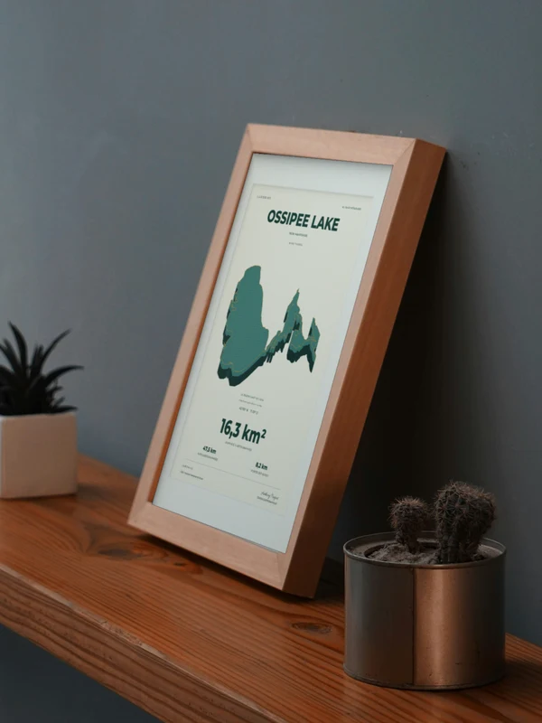 The Ossipee Lake artwork digitally placed in a frame on a shelf beside plants. Framing and proportions are illustrative.
