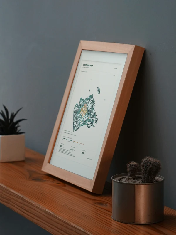 The San Francisco artwork digitally placed in a frame on a shelf beside plants. Framing and proportions are illustrative.