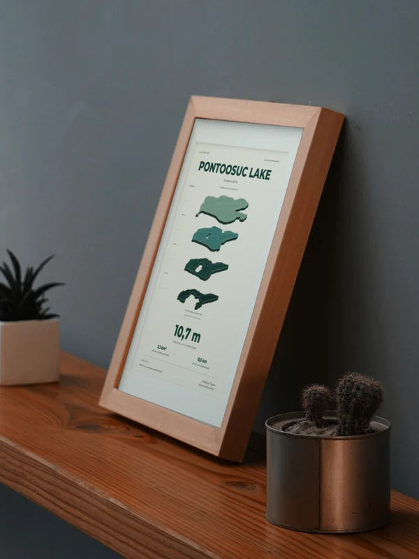The Pontoosuc Lake artwork digitally placed in a frame on a shelf beside plants. Framing and proportions are illustrative.
