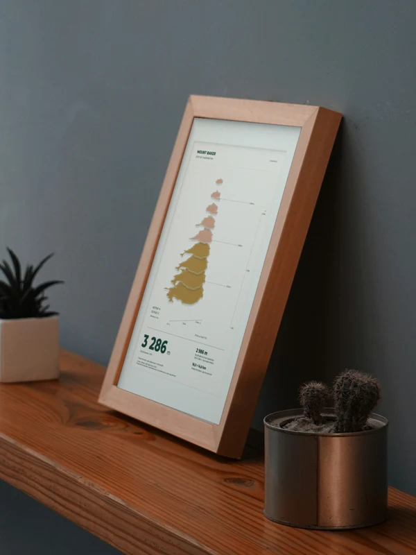 The Mount Baker artwork digitally placed in a frame on a shelf beside plants. Framing and proportions are illustrative.