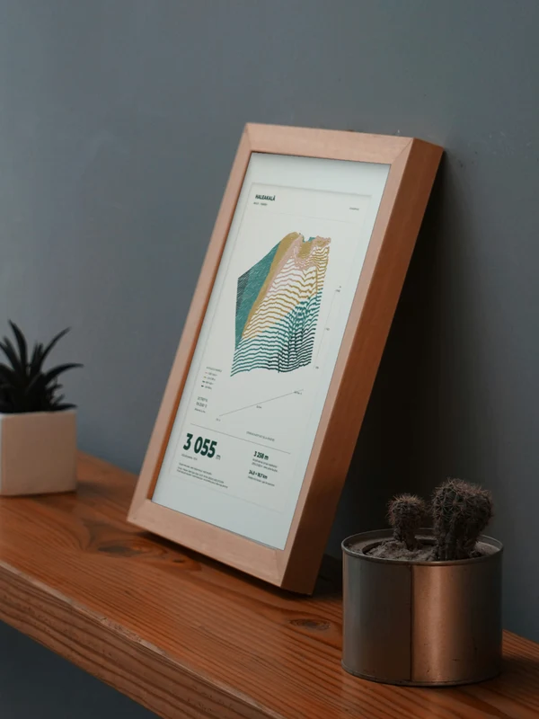 The Haleakalā artwork digitally placed in a frame on a shelf beside plants. Framing and proportions are illustrative.