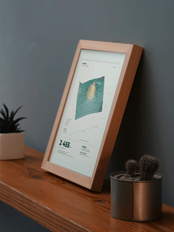 The Mayon artwork digitally placed in a frame on a shelf beside plants. Framing and proportions are illustrative.