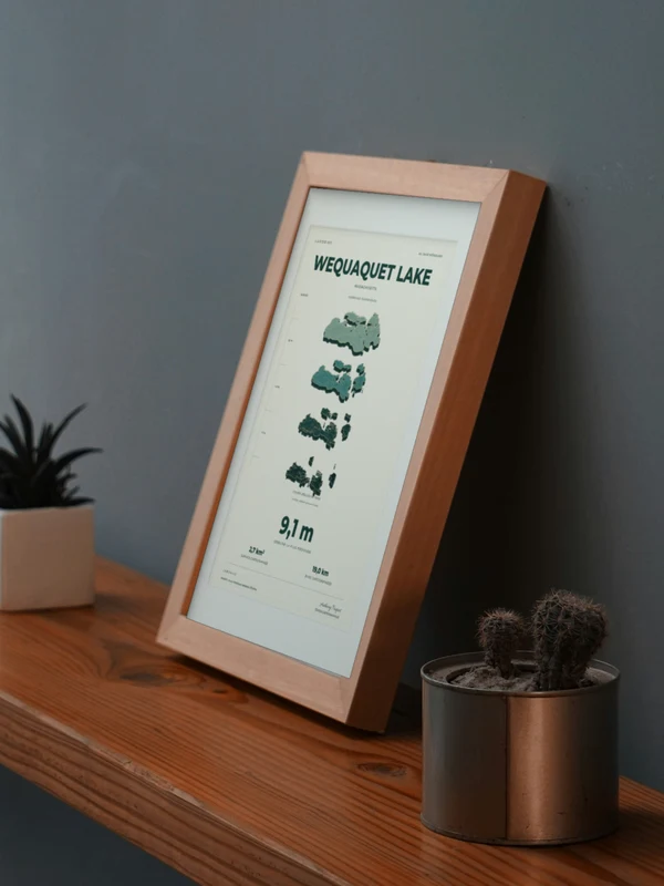 The Wequaquet Lake artwork digitally placed in a frame on a shelf beside plants. Framing and proportions are illustrative.