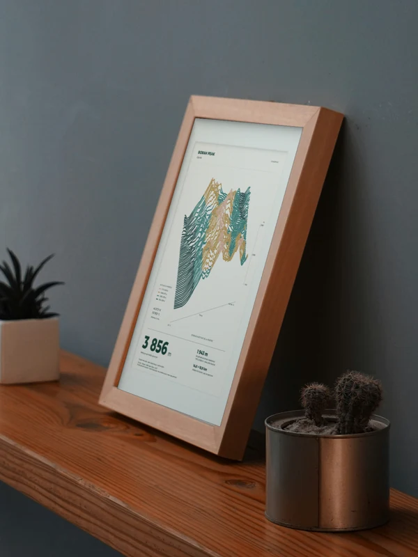 The Borah Peak artwork digitally placed in a frame on a shelf beside plants. Framing and proportions are illustrative.