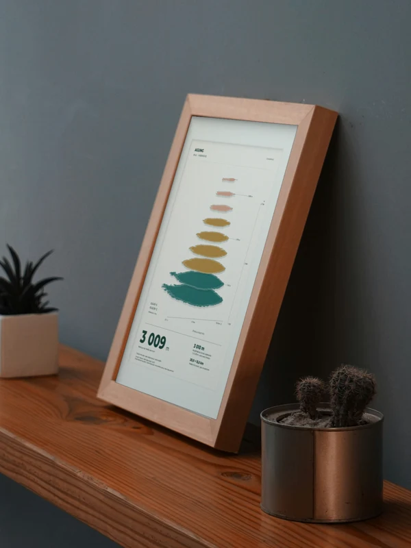 The Agung artwork digitally placed in a frame on a shelf beside plants. Framing and proportions are illustrative.