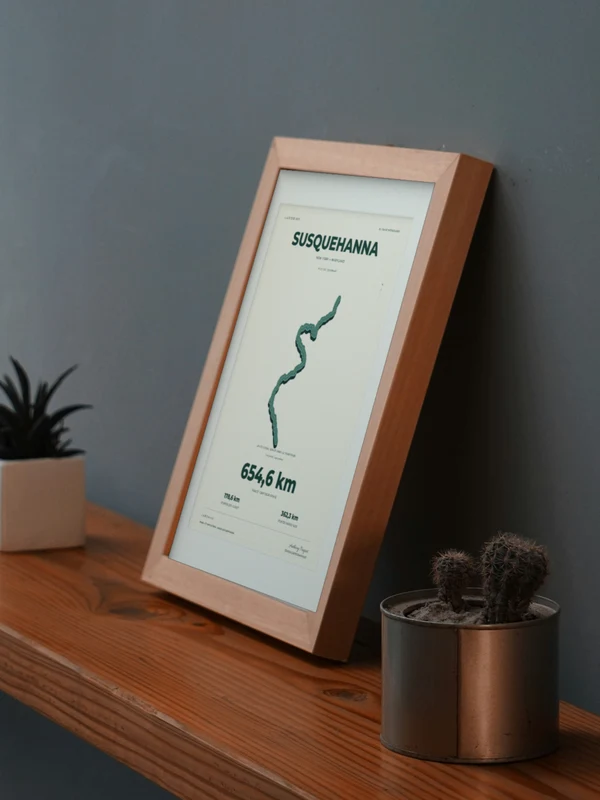 The SUSQUEHANNA artwork digitally placed in a frame on a shelf beside plants. Framing and proportions are illustrative.
