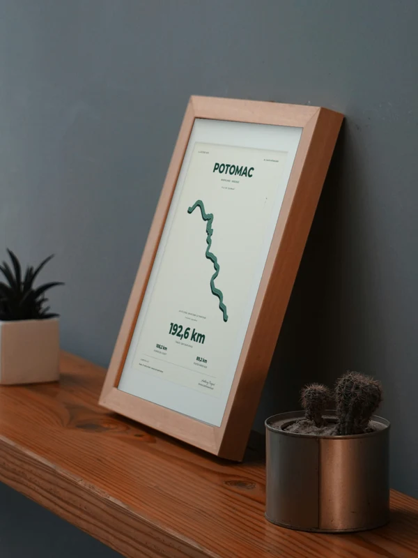 The POTOMAC artwork digitally placed in a frame on a shelf beside plants. Framing and proportions are illustrative.
