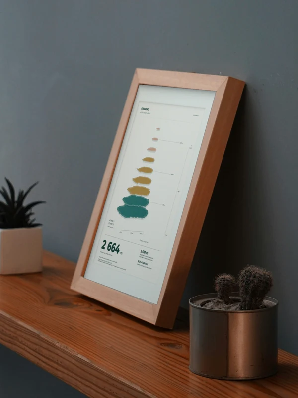 The Osorno artwork digitally placed in a frame on a shelf beside plants. Framing and proportions are illustrative.