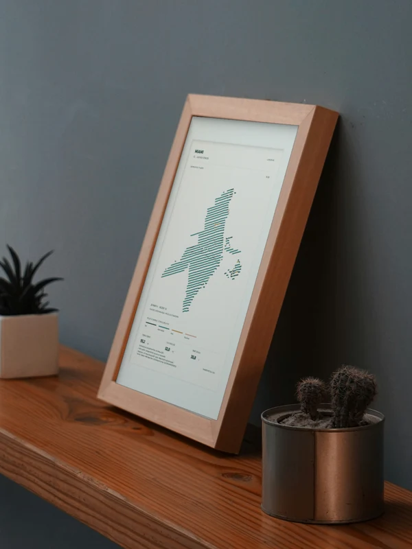 The Miami artwork digitally placed in a frame on a shelf beside plants. Framing and proportions are illustrative.