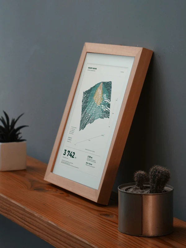 The Mount Adams artwork digitally placed in a frame on a shelf beside plants. Framing and proportions are illustrative.
