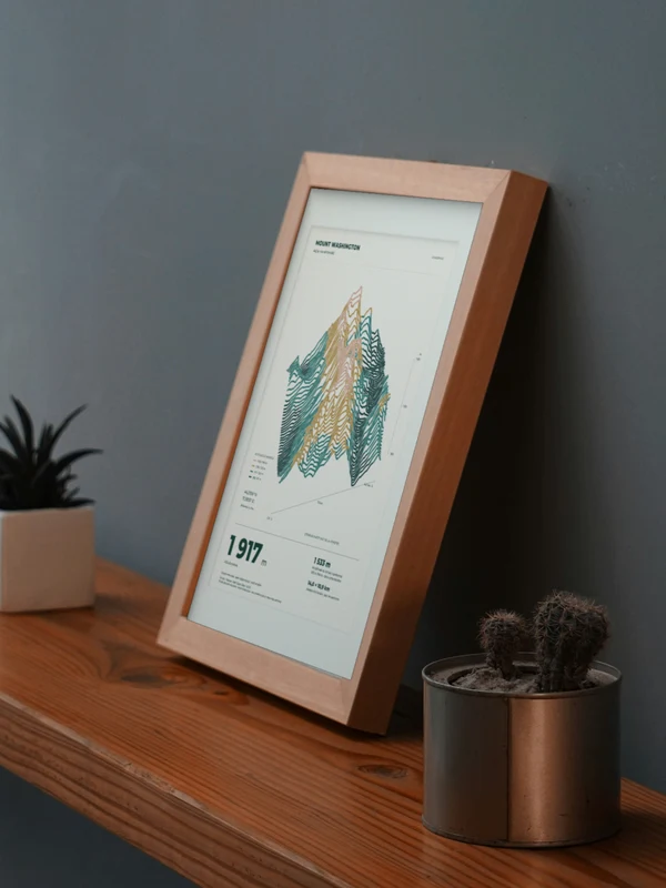The Mount Washington artwork digitally placed in a frame on a shelf beside plants. Framing and proportions are illustrative.