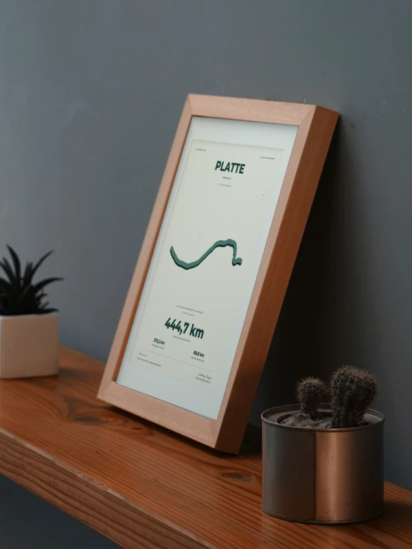 The PLATTE artwork digitally placed in a frame on a shelf beside plants. Framing and proportions are illustrative.
