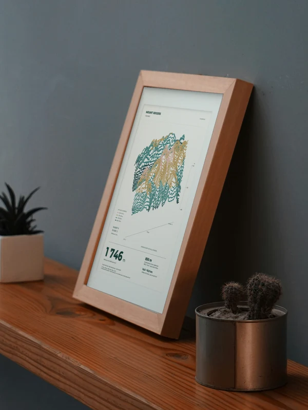 The Mount Rogers artwork digitally placed in a frame on a shelf beside plants. Framing and proportions are illustrative.